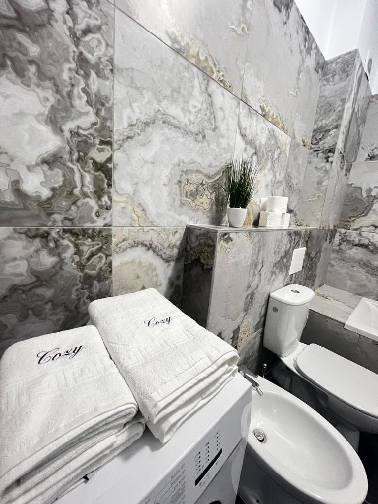 Luxury Cozy Apartments Suceava Buitenkant foto