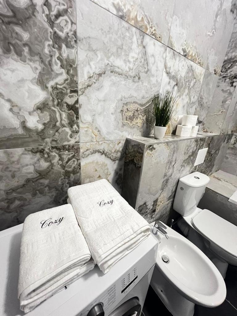 Luxury Cozy Apartments Suceava Buitenkant foto