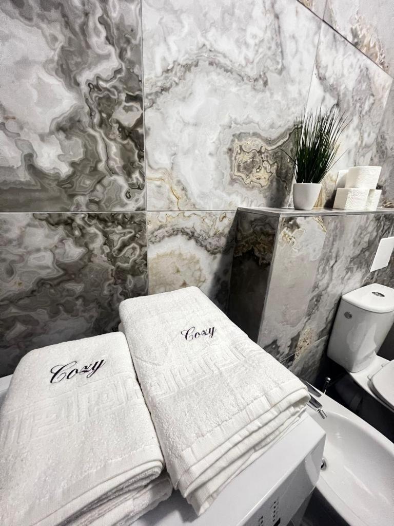 Luxury Cozy Apartments Suceava Buitenkant foto